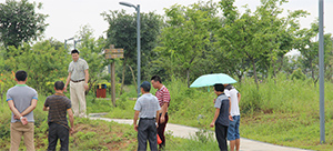 广东长桥建设工程有限公司佛山分公司成立